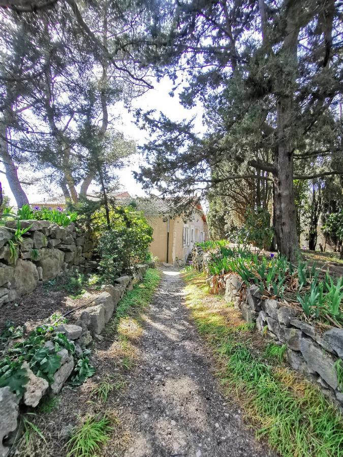 Appartamento La Pinède Azillanet Esterno foto